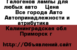 Галогенов лампы для любых авто. › Цена ­ 3 000 - Все города Авто » Автопринадлежности и атрибутика   . Калининградская обл.,Приморск г.